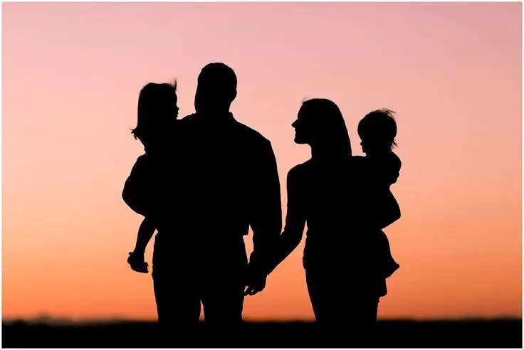 Aile Rüyalarının Ortak Temaları